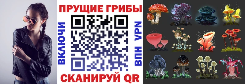 Галлюциногенные грибы Magic Shrooms  наркошоп  Ильский 